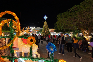 Encienden árbol navideño en Zapotiltic