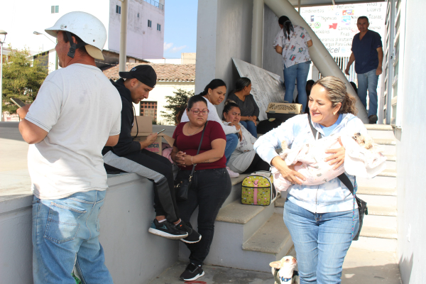 Arrancan campaña de “Esterilización Canina y Felina” 2023.